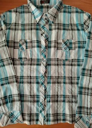 Стрейчева сорочка.