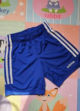 Шорты adidas