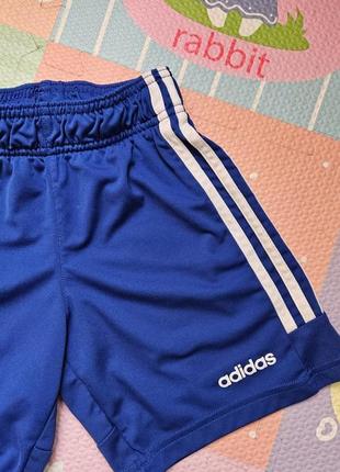 Шорты adidas 2