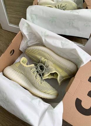 Кроссовки adidas yeezy antlia2 фото