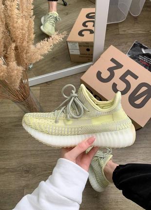 Кросівки adidas yeezy antlia