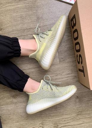 Кроссовки adidas yeezy antlia5 фото