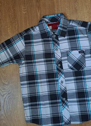 Нарядный набор для мальчика/рубашка с коротким рукавом/шорты6 фото