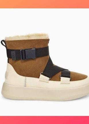 Ugg classic boom buckle chestnut