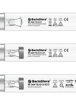 Bactosfera bs 36w t8/g135 фото