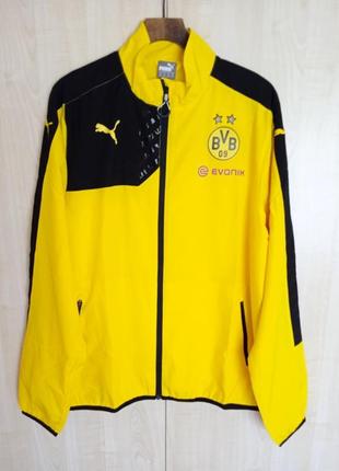 Ветровка puma borussia dortmund bvb