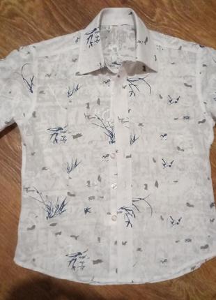 Рубашка для мальчика