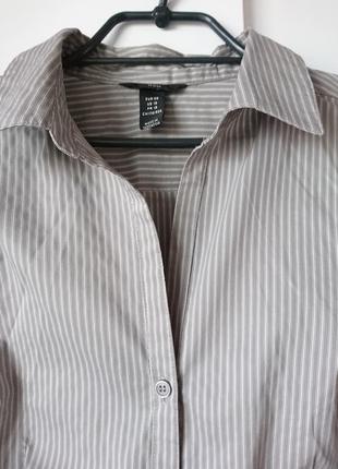 Рубашка в полоску с длинным рукавом р.48, 250 грн2 фото