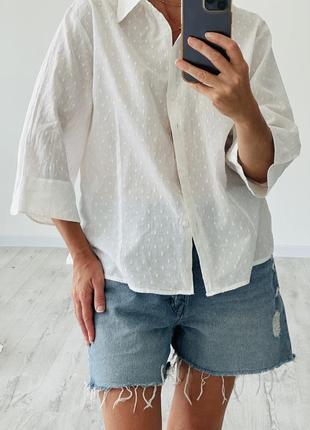 Блуза сорочка рубашка бавовняна zara