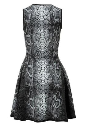 Сукня плаття philipp plein 5