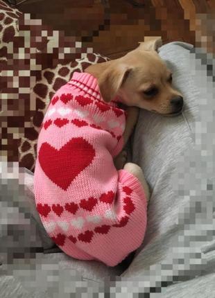 💕🐾 свитер ♥️сердечко♥️ для кота или собаки кофточка свитерок трикотажный с горловиной