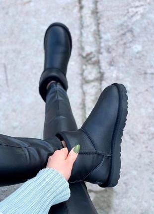 Шикарные женские сапоги ugg mini black с натуральным мехом /осень/зима/весна😍6 фото