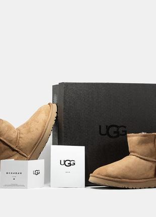 Замшеві угги ugg classic mini , якісні зимові чоботи 💨