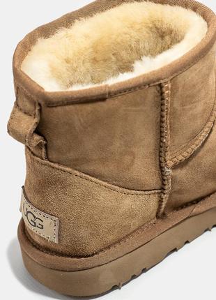 Замшевые угги ugg classic mini, качественные зимние сапоги 💨2 фото