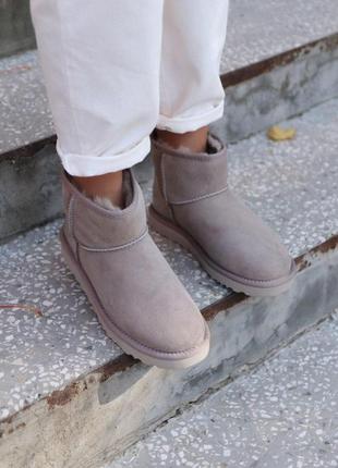 Шикарные женские сапоги ugg mini mokko с натуральным мехом /осень/зима/весна😍8 фото