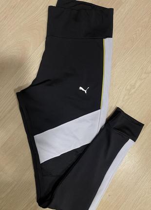 Лосіни puma