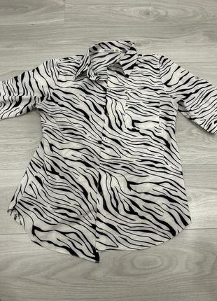 Актуальная блуза зебра