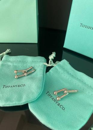 Брендовые серьги