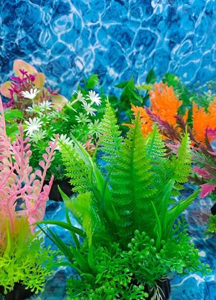 Рослина в акваріум1 фото
