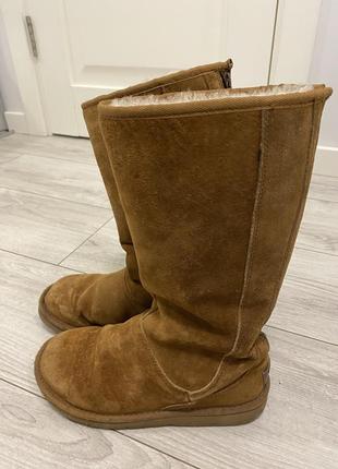 Ugg оригинал1 фото