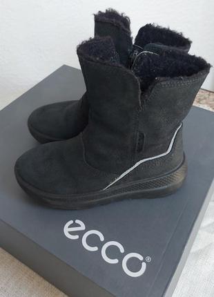 Сапоги ecco