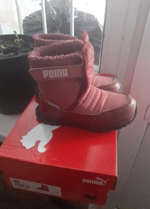 Паркаhm+дутики puma 2-46 фото