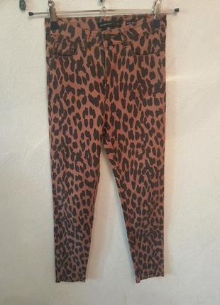 Леопардовые штаны, джинсы, брюки в обтяжку, скинни5 фото