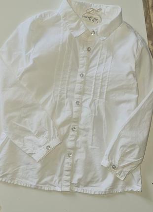 Тонкая красивая рубашка