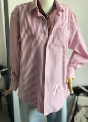 Белая рубашкав розовую полоску2 фото