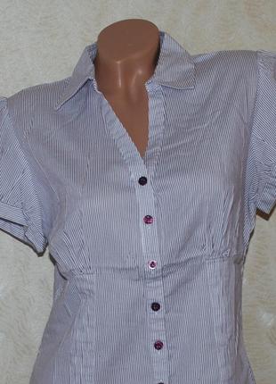 Блуза принтована бренду dorothy perkins
/98%бавовна/6 фото