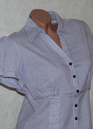 Блуза принтована бренду dorothy perkins
/98%бавовна/4 фото