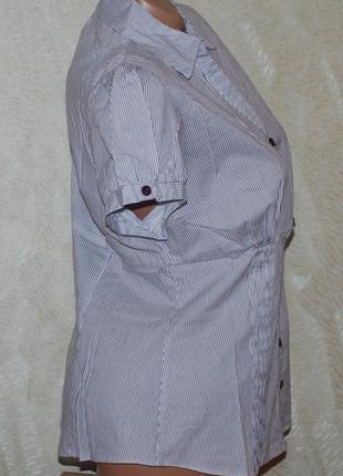 Блуза принтована бренду dorothy perkins
/98%бавовна/7 фото