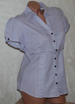 Блуза принтована бренду dorothy perkins
/98%бавовна/2 фото