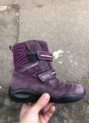 Чобітки ecco gore tex , хутро