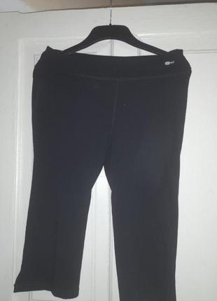 Натуральні трикотажні спортивні бриджи.