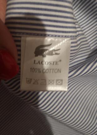 Тенiска чоловiча в смужку lacoste3 фото