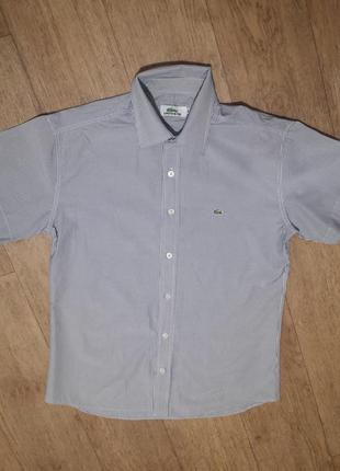 Теniска лобовичья в полоску lacoste