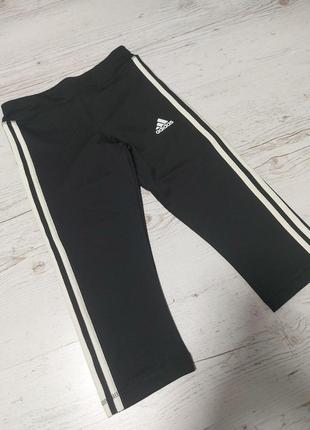 Велотреки adidas