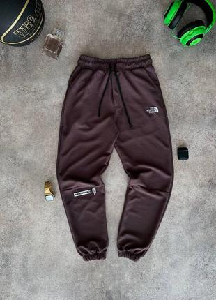 Спортивные штаны the north face/0 штаны tnf