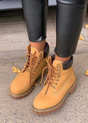 🦋timberland 6 inch premium ginger🦋термо, женские ботинки тимберленд весна-осень4 фото