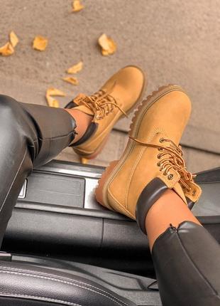 🦋timberland 6 inch premium ginger🦋термо, женские ботинки тимберленд весна-осень6 фото