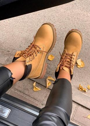 🦋timberland 6 inch premium ginger🦋термо, женские ботинки тимберленд весна-осень7 фото