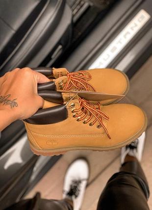 🦋timberland 6 inch premium ginger🦋термо, женские ботинки тимберленд весна-осень8 фото