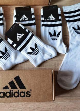 Чоловічі високі шкарпетки adidas унісекс, білі шкарпетки адідас, білі високі шкарпетки адідас, спортивні вис