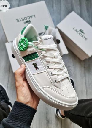 Новинка ▪︎ шкіряні, чоловічі кеди lacoste