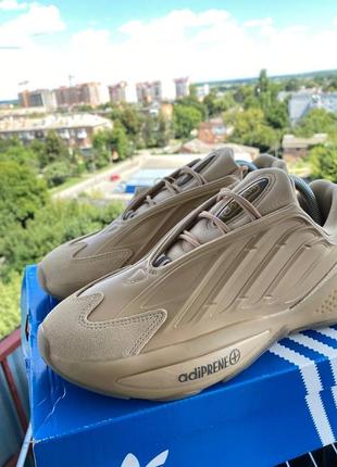 Чоловічі кросівки adidas