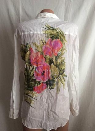 Женская рубашка, блуза белая с рисунком zara basic3 фото