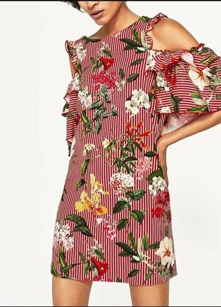 Брендове плаття з відкритими плечима в смужку zara етикетка