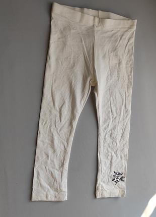 Лосіни на 86/92 см