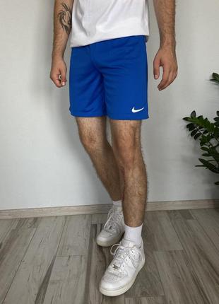 Чоловічі спортивні шорти найк драй фіт nike dri fit